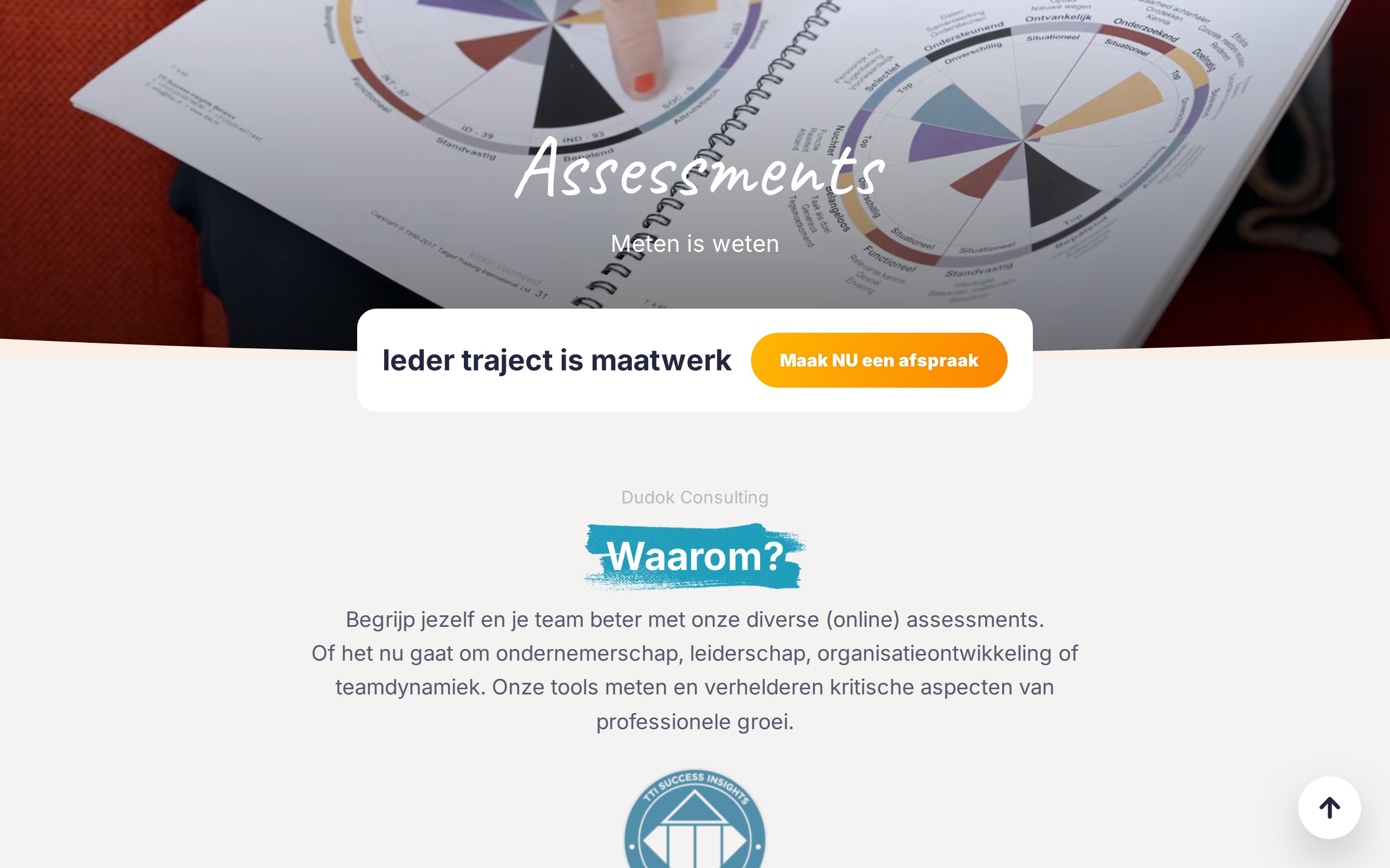 dudokconsulting.nl: diensten
